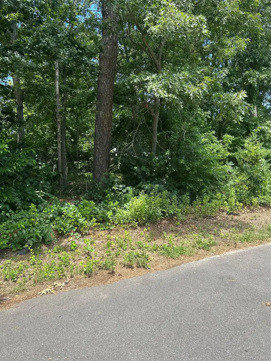 v/l Main Avenue, Mastic, NY 11950 - #3