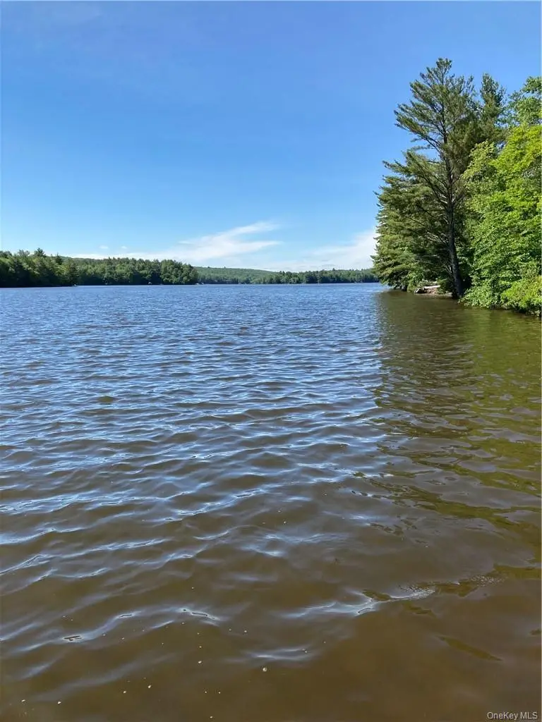 Plank Road Forestburg New York, Forestburgh, NY 12777 - #2