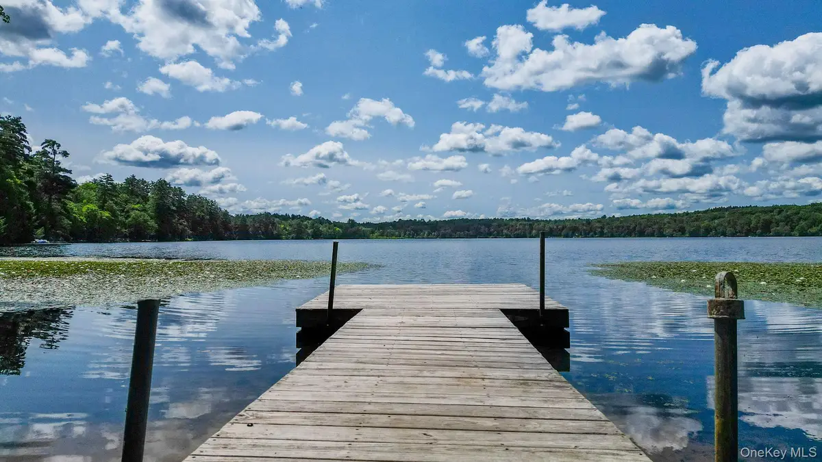 Lot 33 Black Lake Road, White Lake, NY 12786 - #1