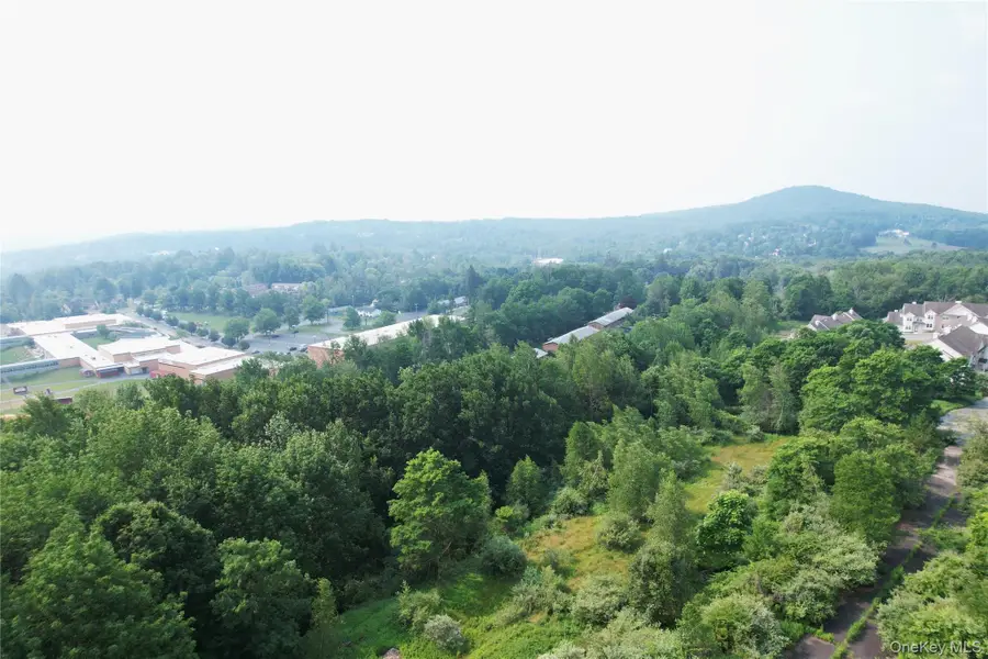 TBD Timberwolf Road W, Liberty, NY 12754 - #2