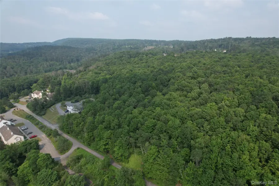 TBD Timberwolf Road W, Liberty, NY 12754 - #3
