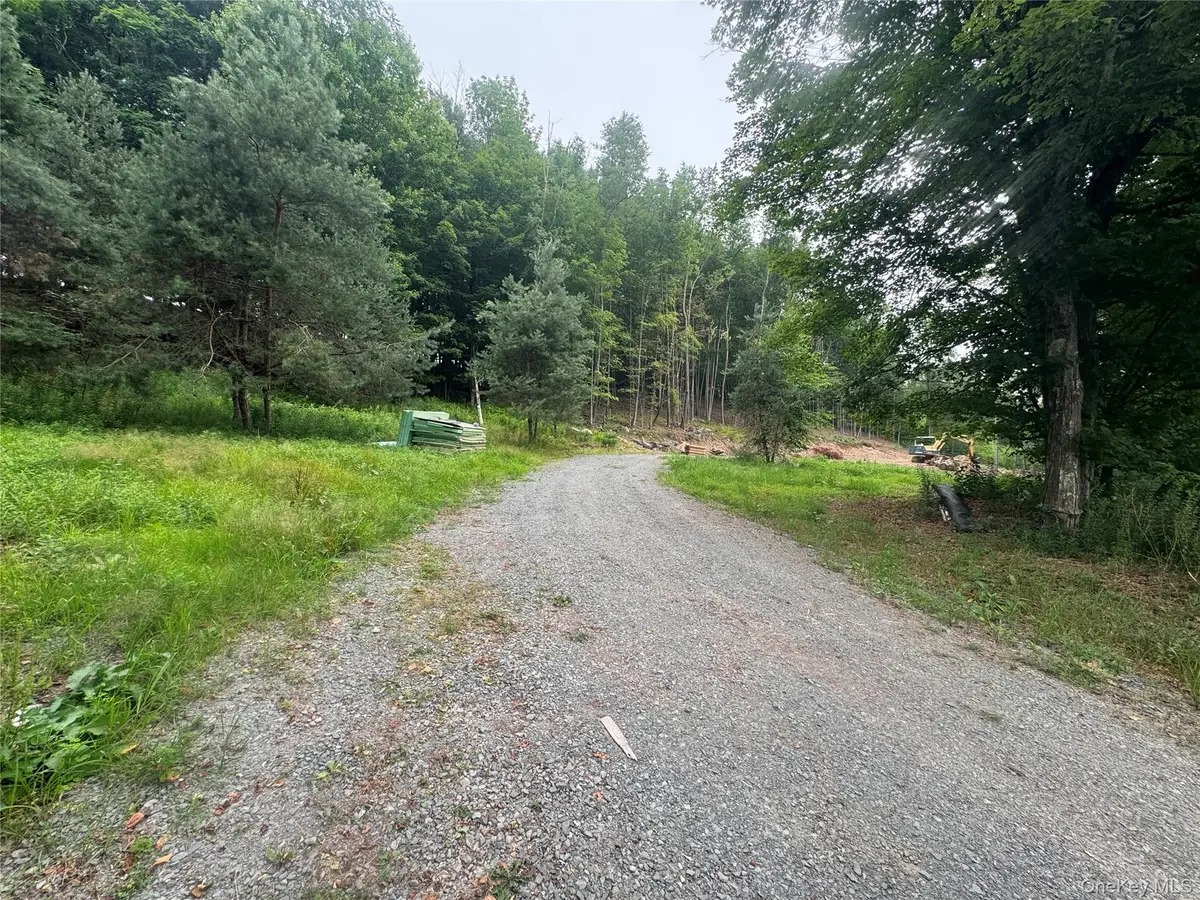 Rapp Road, Monticello, NY 12701 - #1