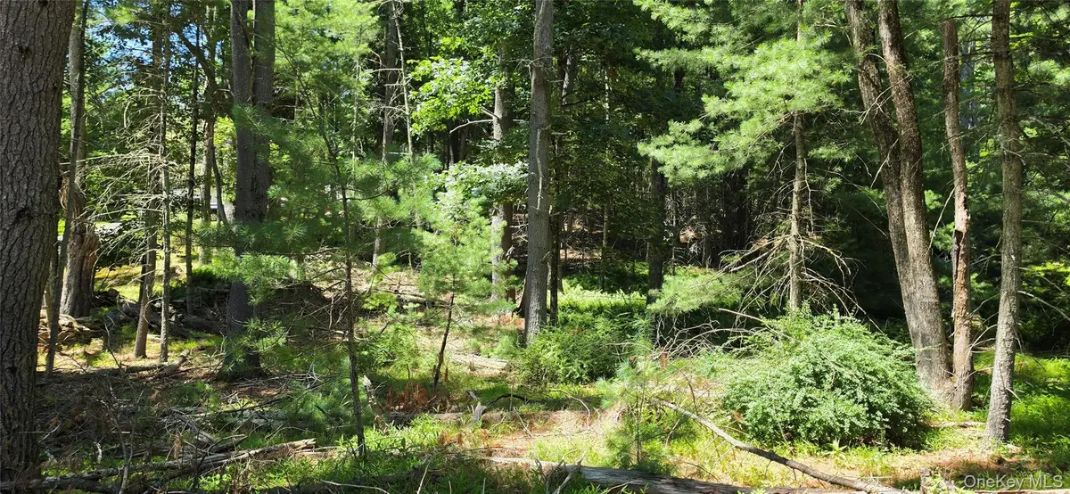 Lot # 7 Irishtown Road, Narrowsburg, NY 12764 - #1