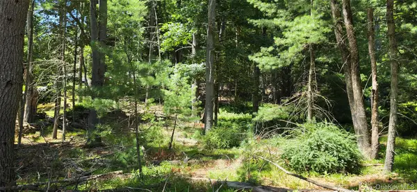 Lot # 7 Irishtown Road, Narrowsburg, NY 12764