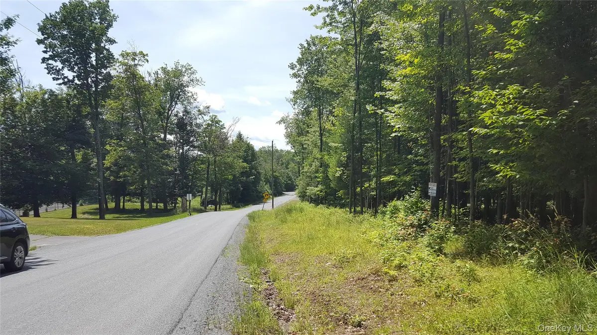 Co Hwy 73, Swan Lake, NY 12783 - #1