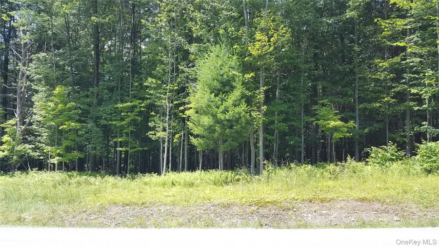 Co Hwy 73, Swan Lake, NY 12783 - #2