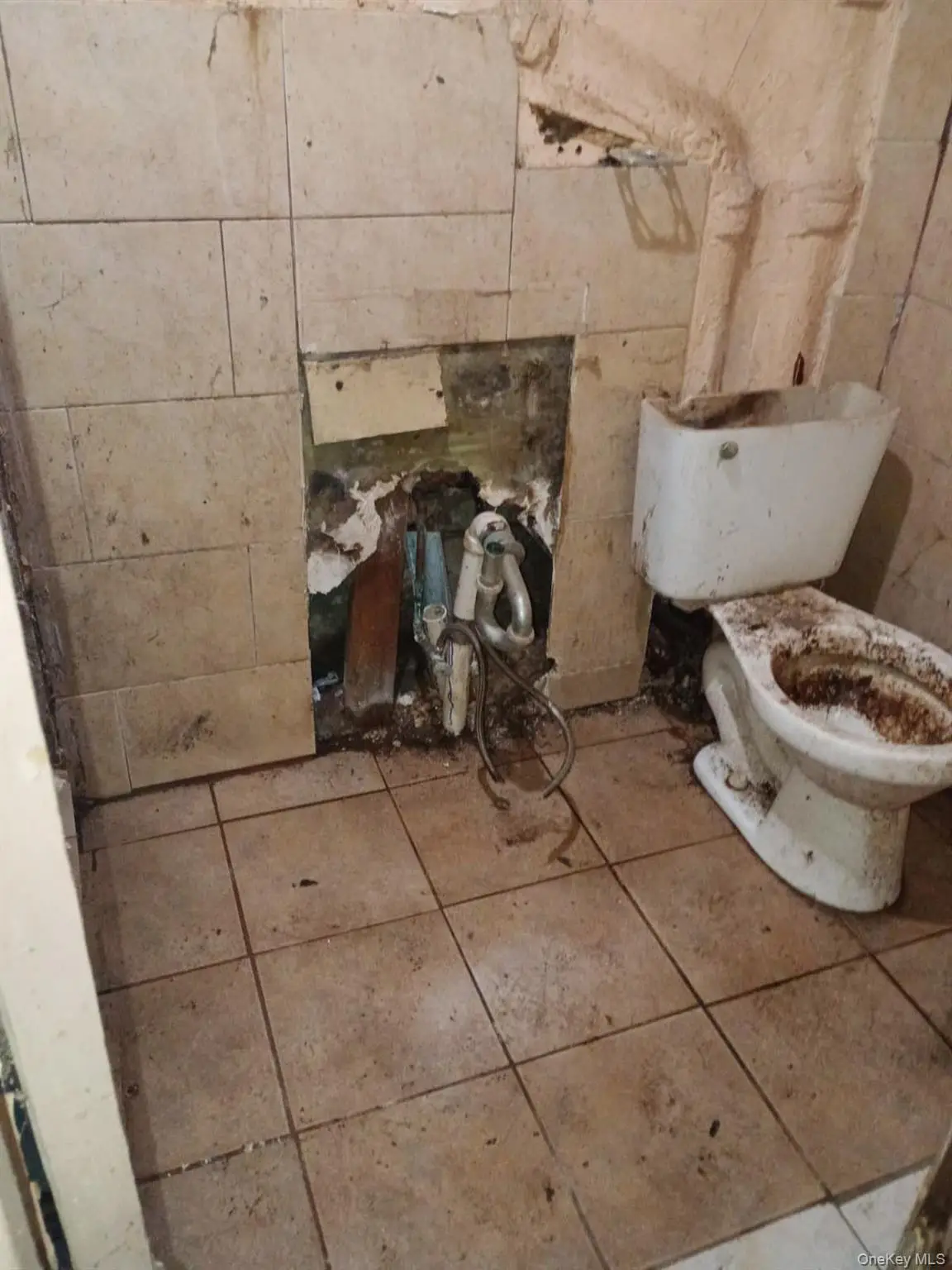 1327 Clay Avenue, Bronx, NY 10456 - #1