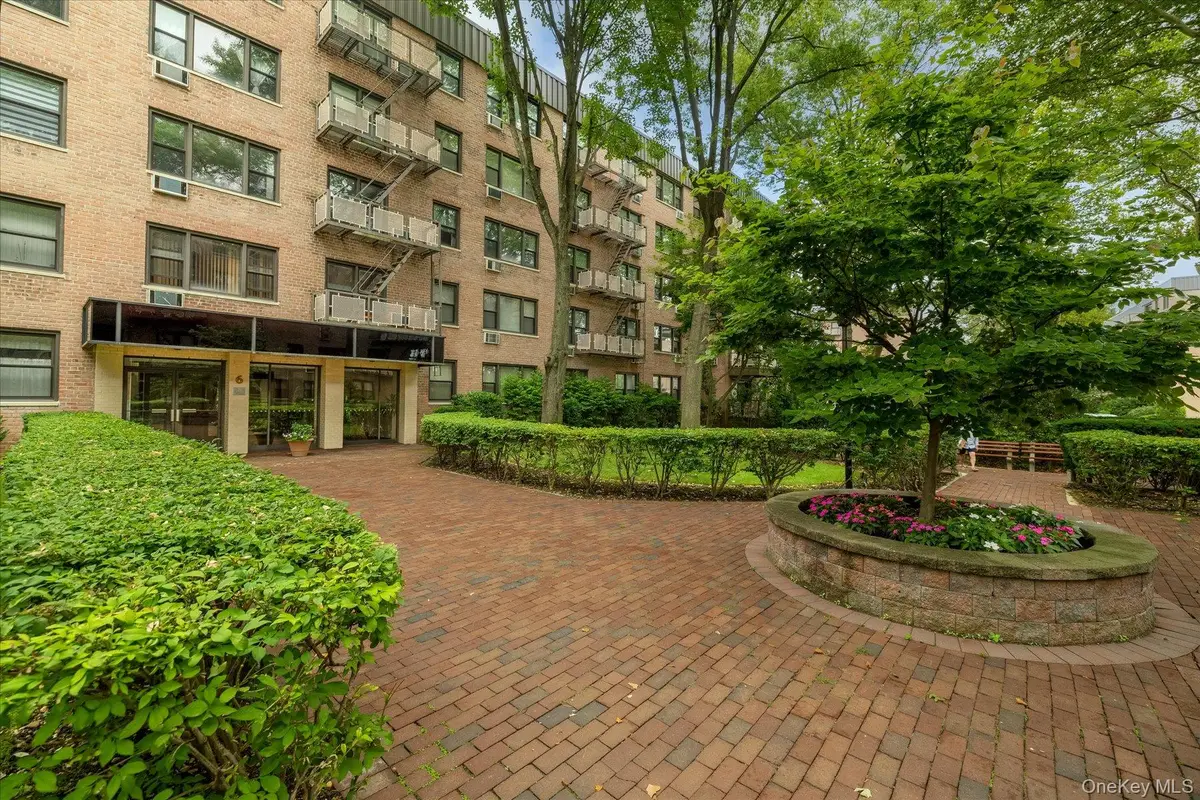 6 Birchwood Court #3B, Mineola, NY 11501 - #1