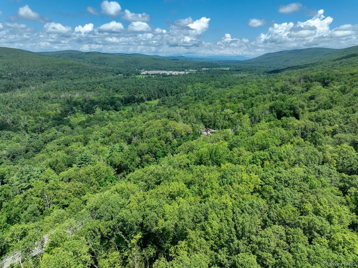 Mamakating Road, Wurtsboro, NY 12790 - #1