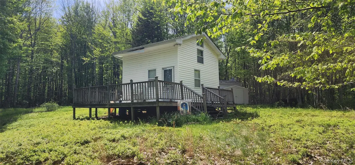 1433 County Route 56 Lane, Fallsburg, NY 12779 - #1