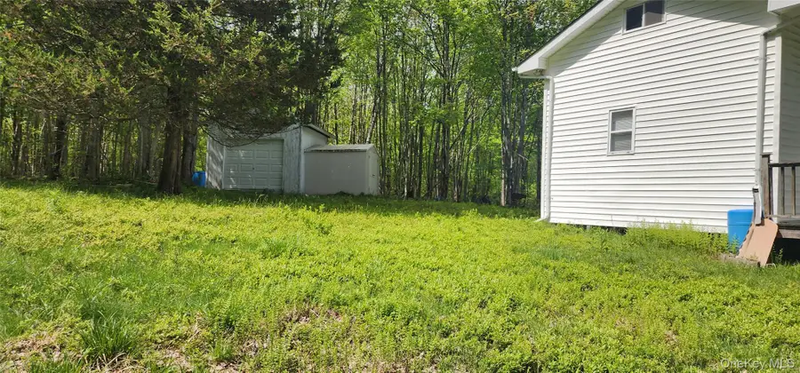 1433 County Route 56 Lane, Fallsburg, NY 12779 - #3