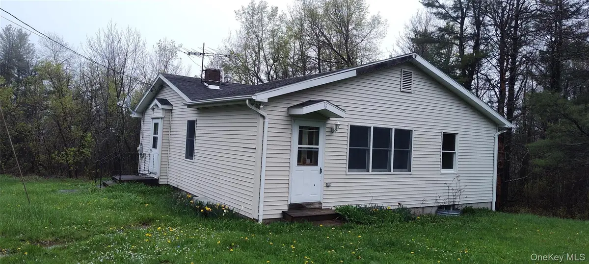 16 Lake Road, Rensselaerville, NY 12147 - #1
