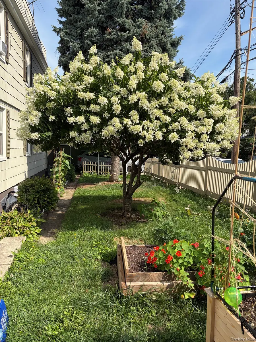 6069 80th Avenue, Ridgewood, NY 11385 - #3