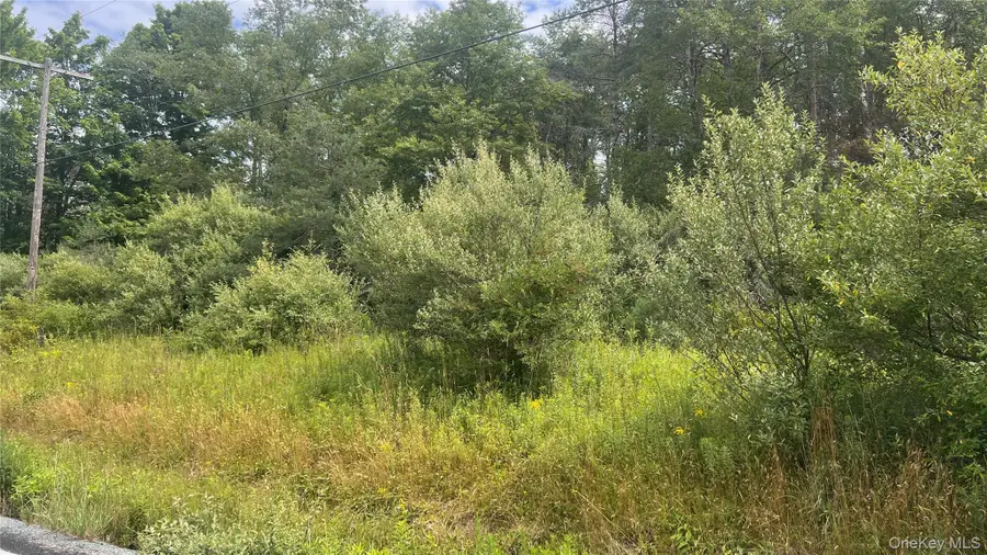 Horseshoe Lake, Kauneonga Lake, NY 12783 - #2