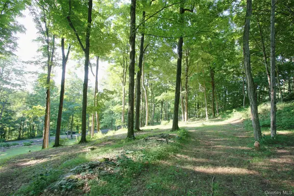 Pond Road, Rhinebeck, NY 12572