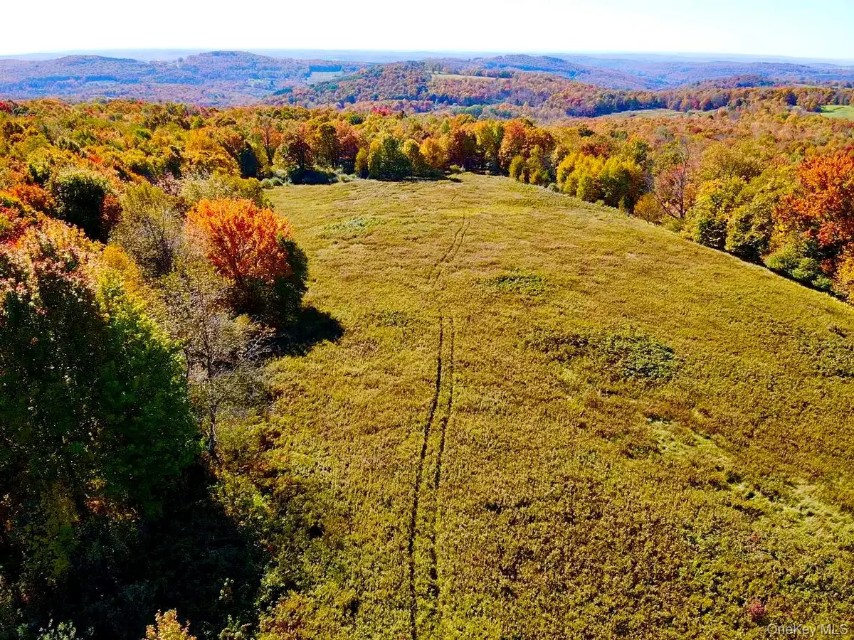 344 Midway Road, Livingston Manor, NY 12758 - #1