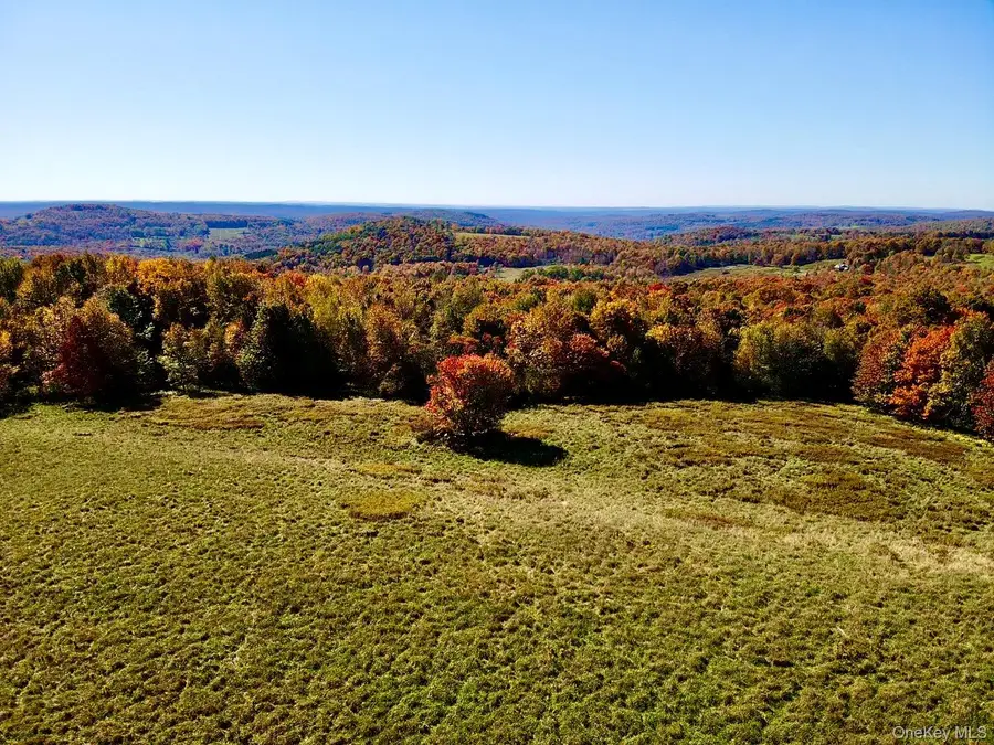 344 Midway Road, Livingston Manor, NY 12758 - #2