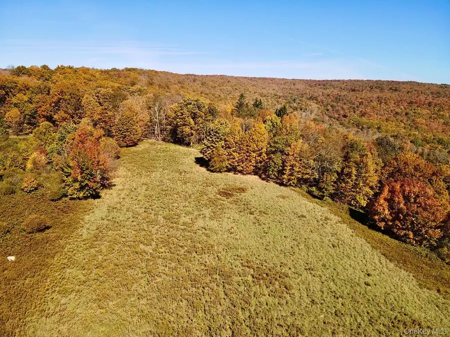 344 Midway Road, Livingston Manor, NY 12758 - #3