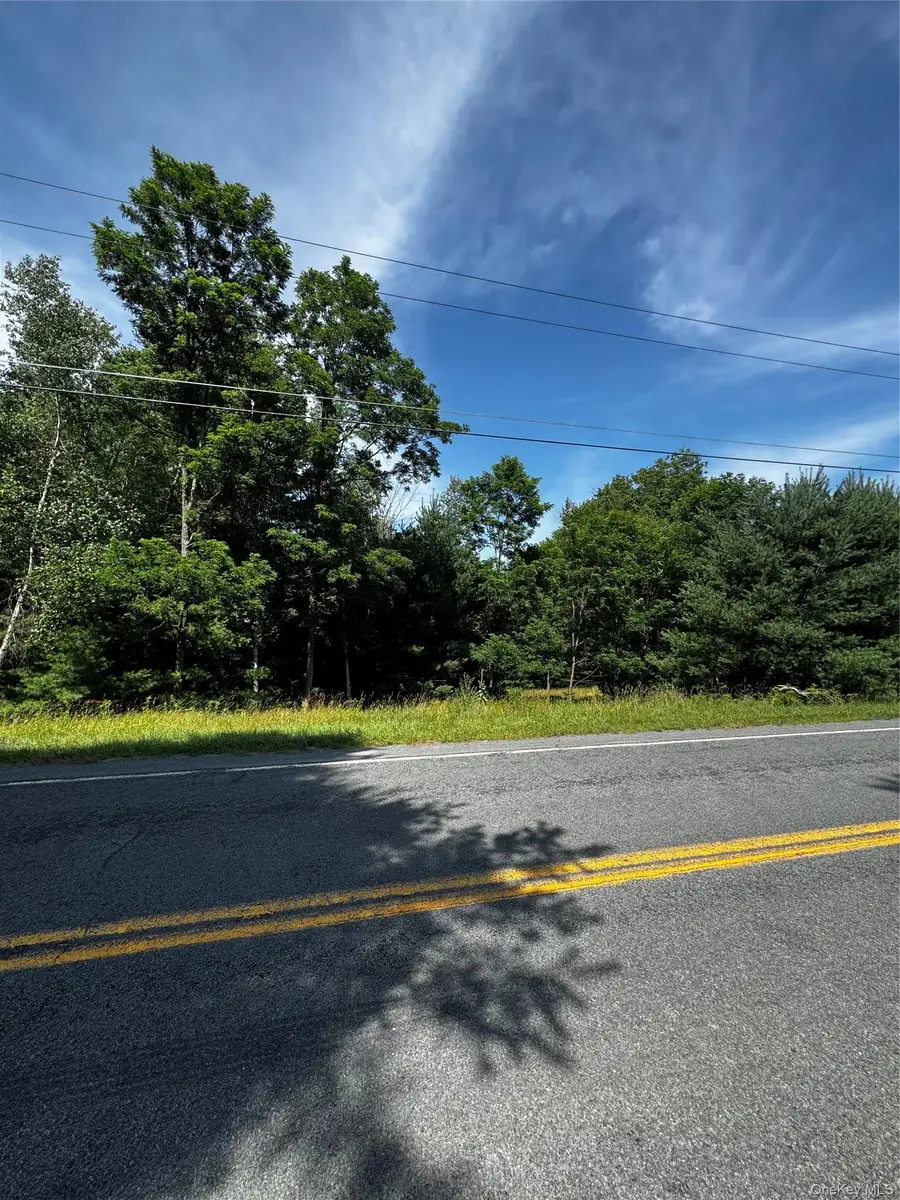 Ulster Heights Road, Fallsburg, NY 12733 - #2