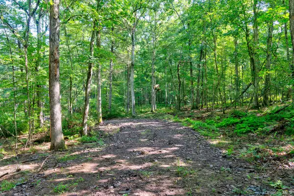 Lot 23 Perry Pond Road, Narrowsburg, NY 12764