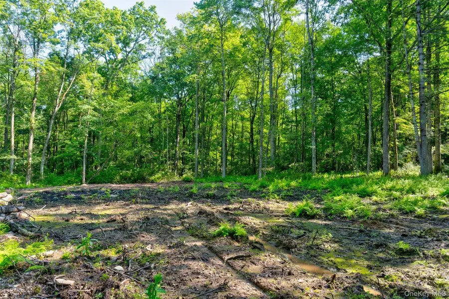 Lot 22 Perry Pond Road, Narrowsburg, NY 12764 - #2