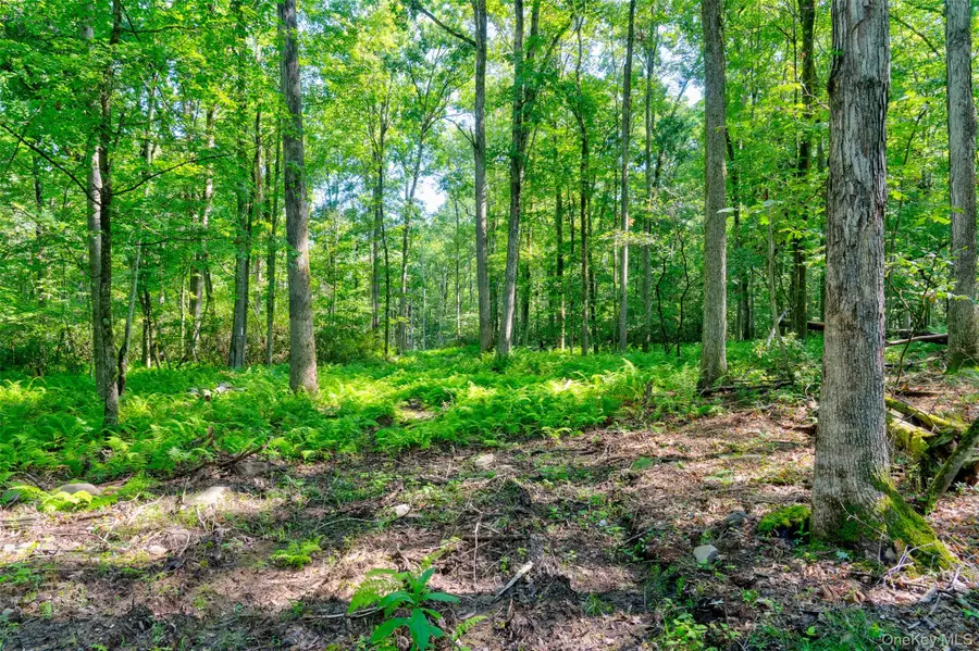 Lot 22 Perry Pond Road, Narrowsburg, NY 12764 - #3