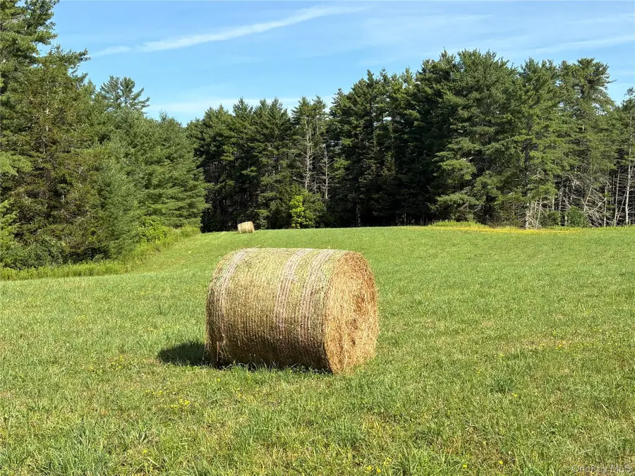 379 Stryker Road, Gilboa, NY 12076 - #3