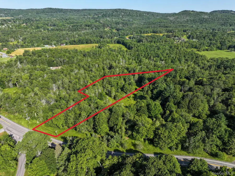 Neversink Road, Liberty, NY 12754 - #2