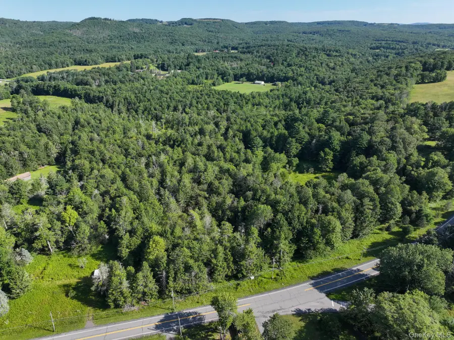 Neversink Road, Liberty, NY 12754 - #3