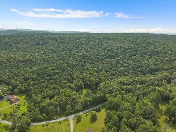 O Benton Hollow Road, Livingston Manor, NY 12758