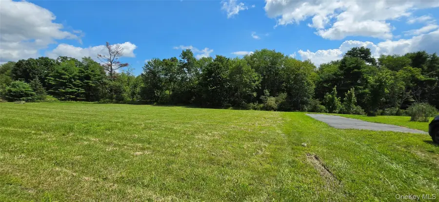 Lots 4 & 5 Dr. Duggan Road, Bethel, NY 12720 - #3