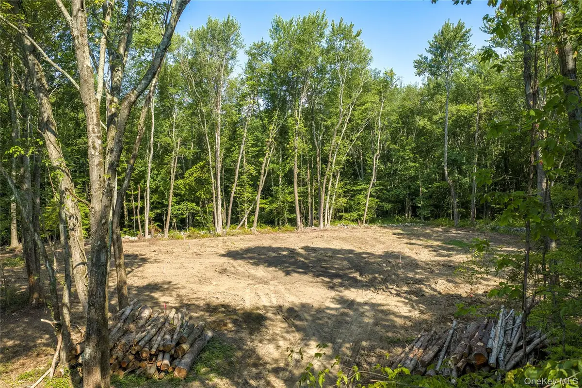 (Lot 3) 111 South Street, Highland, NY 12528 - #1