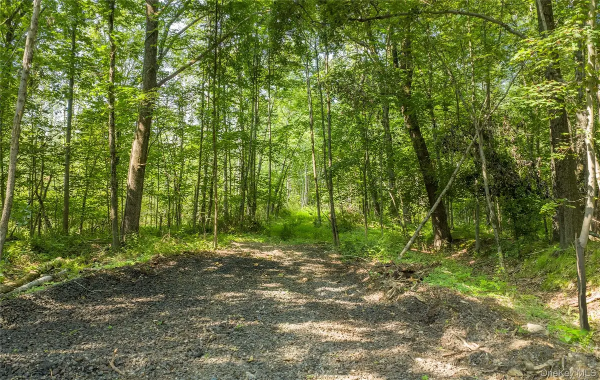 (Lot 4) 111 South Street, Highland, NY 12528 - #1
