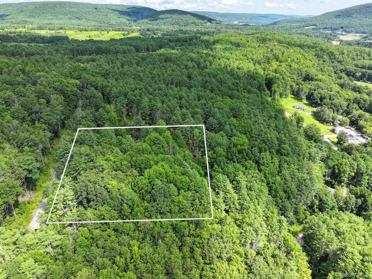 Crescent Road, Gilboa, NY 12076 - #1