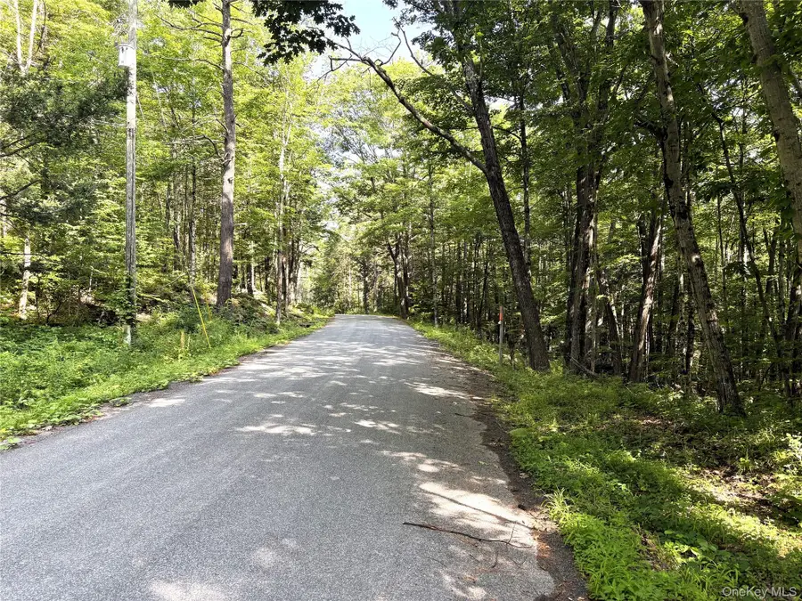 Crescent Road, Gilboa, NY 12076 - #3