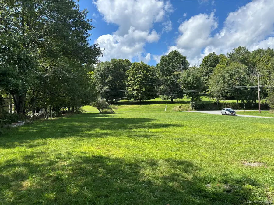 13 Park Lane, Mountain Dale, NY 12763 - #3