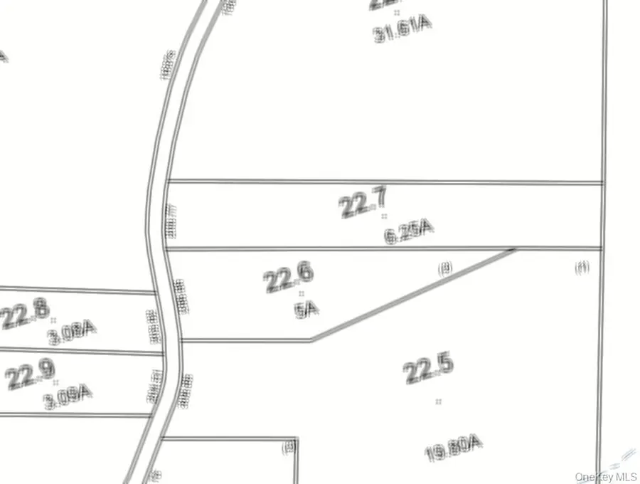 Dutch Hill Road, Roscoe, NY 12776 - #2