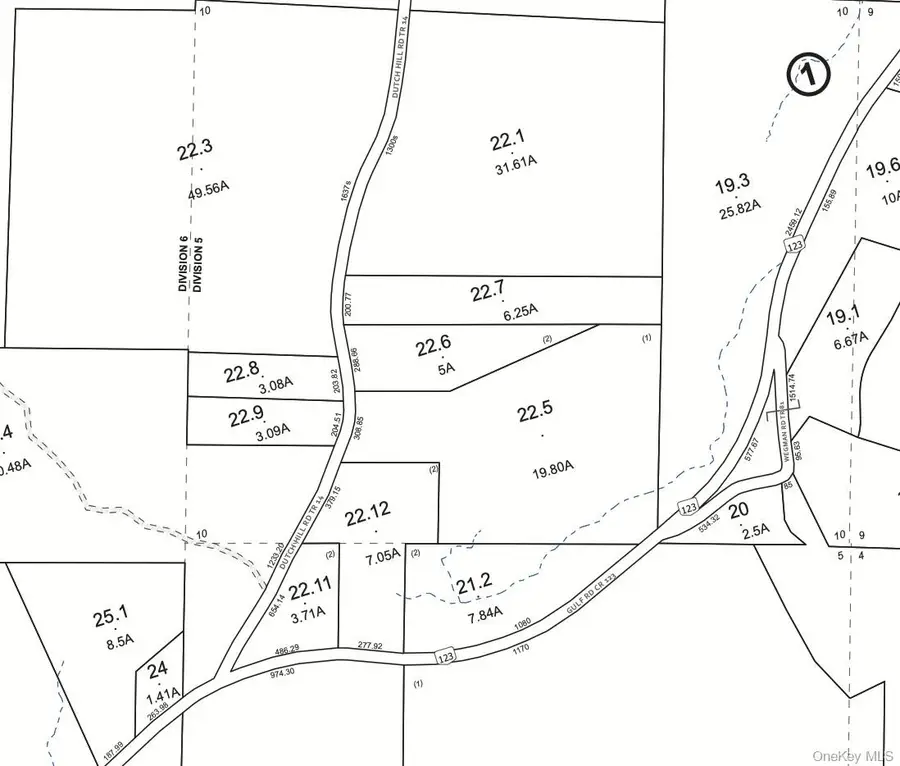 Dutch Hill Road, Roscoe, NY 12776 - #3