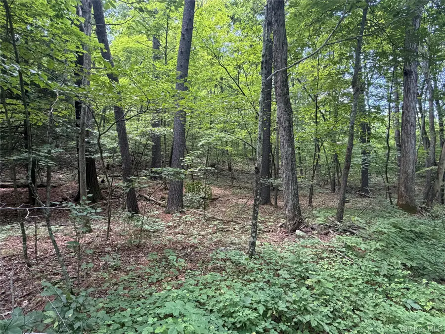 0 Laurie Lane, Cairo, NY 12413 - #3