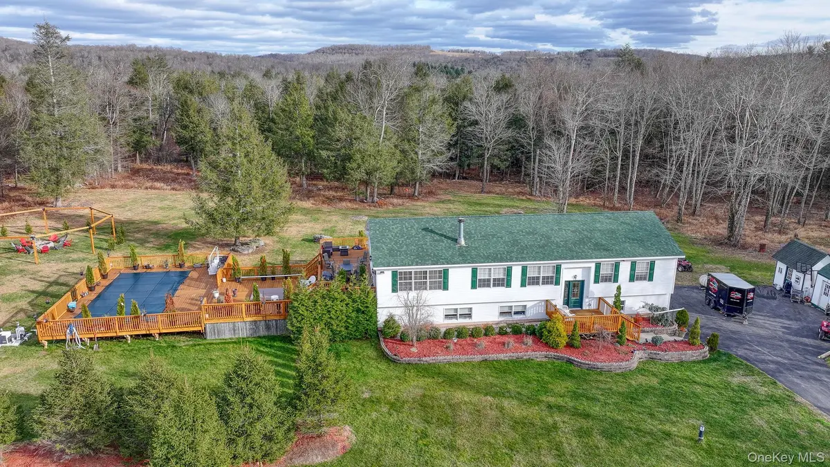 226 Big Woods Road, Harris, NY 12742 - #1