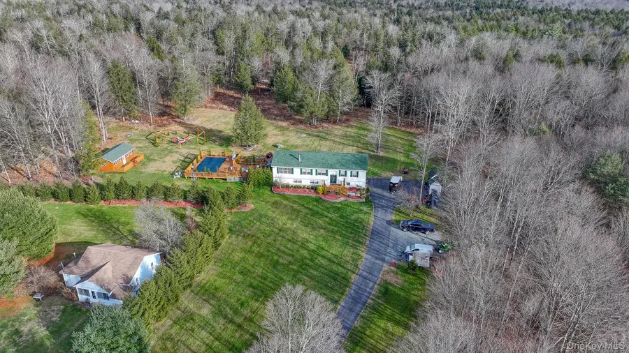 226 Big Woods Road, Harris, NY 12742 - #3
