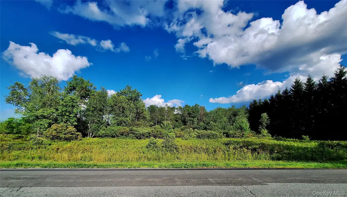 Burnt Ridge Road, Fallsburg, NY 12733 - #1