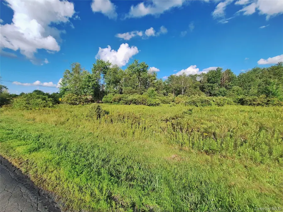 Burnt Ridge Road, Fallsburg, NY 12733 - #2