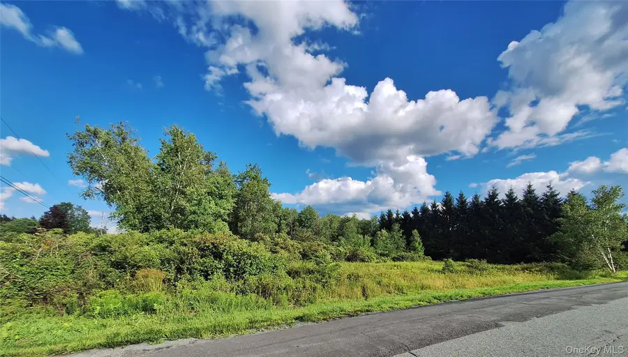 Burnt Ridge Road, Fallsburg, NY 12733 - #3
