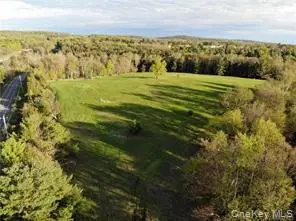 00 Benmosche Road, Monticello, NY 12701 - #2