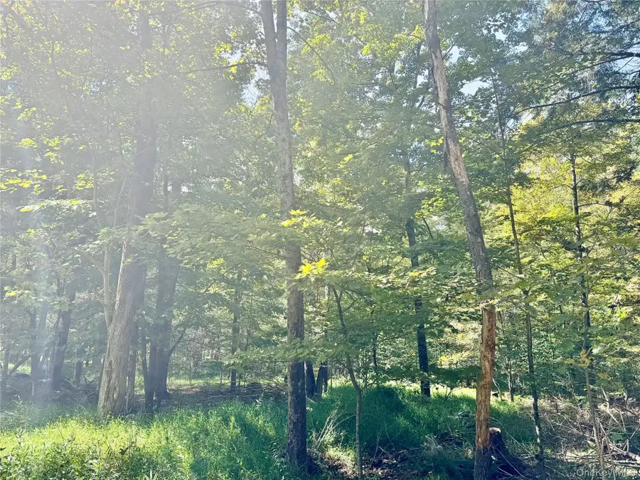 5 Trails, Cuddebackville, NY 12729 - #3
