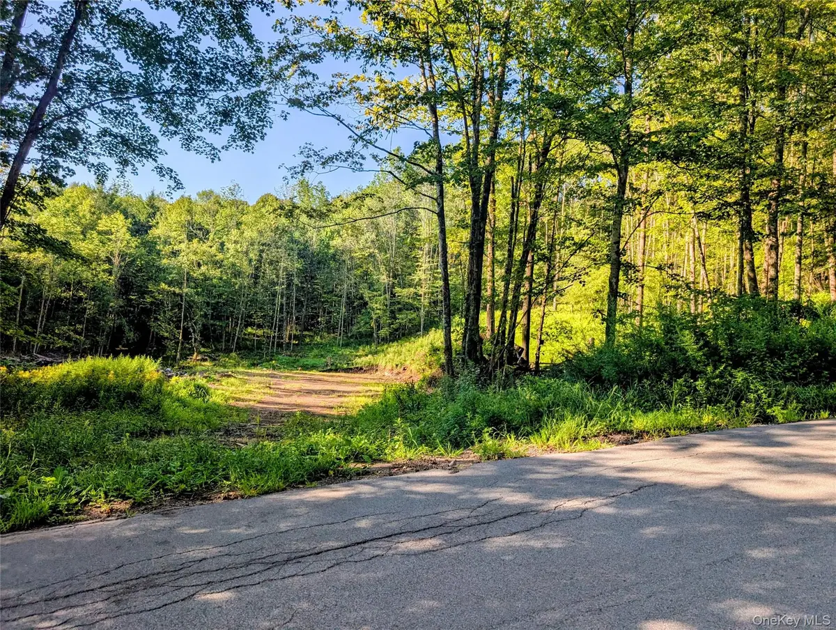 Hurd Road, Bethel, NY 12720 - #1