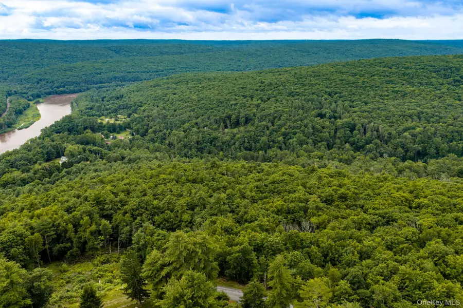 Lot 41 Lynn Road, Glen Spey, NY 12737 - #2