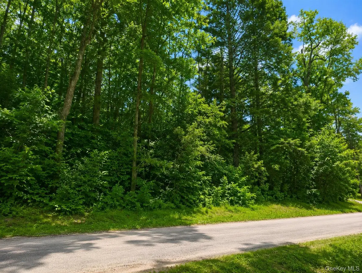 Benton Hollow Road, Neversink, NY 12765 - #1