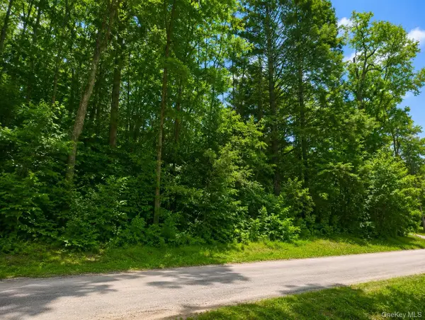 Benton Hollow Road, Neversink, NY 12765